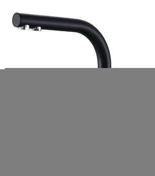 Смеситель для кухни Paulmark ESSEN Es213011-AN на мойку черный